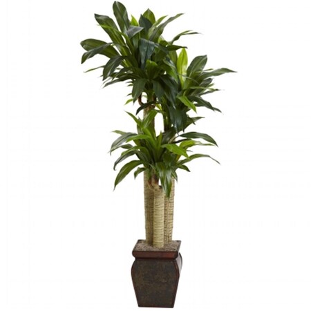 Dare2Decor 4.5 ft. Cornstalk Draceana With Vase - Real Touch DA416477